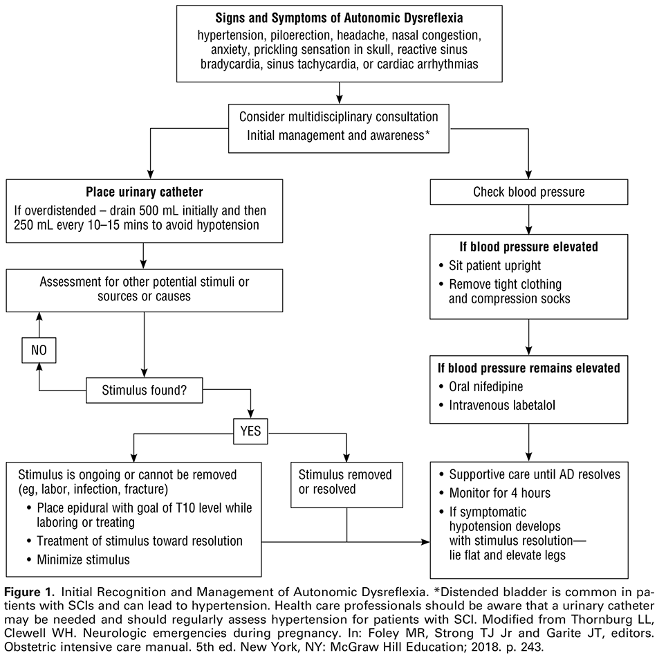 Figure 1. Initial Recognition and Management of Autonomic Dysreflexia. *Distended bladder is common in patients with SCIs and can lead to hypertension. Health care professionals should be aware that a urinary catheter may be needed and should regularly assess hypertension for patients with SCI. Modified from Thornburg LL, Clewell WH. Neurologic emergencies during pregnancy. In: Foley MR, Strong TJ Jr and Garite JT, editors. Obstetric intensive care manual. 5th ed. New York, NY: McGraw Hill Education; 2018. p. 243 . 