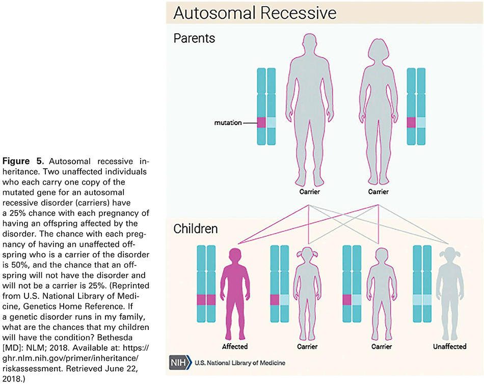 Figure 5. Autosomal recessive inheritance. Two unaffected individuals who each carry one copy of the mutated gene for an autosomal recessive disorder (carriers) have a 25% chance with each pregnancy of having an offspring affected by the disorder. The chance with each pregnancy of having an unaffected offspring who is a carrier of the disorder is 50%, and the chance that an offspring will not have the disorder and will not be a carrier is 25%. (Reprinted from U.S. National Library of Medicine, Genetics Home Reference. If a genetic disorder runs in my family, what are the chances that my children will have the condition? Bethesda [MD]: NLM; 2018. Available at: 
 https://ghr.nlm.nih.gov/primer/inheritance/riskassessment . Retrieved June 22, 2018.)
 