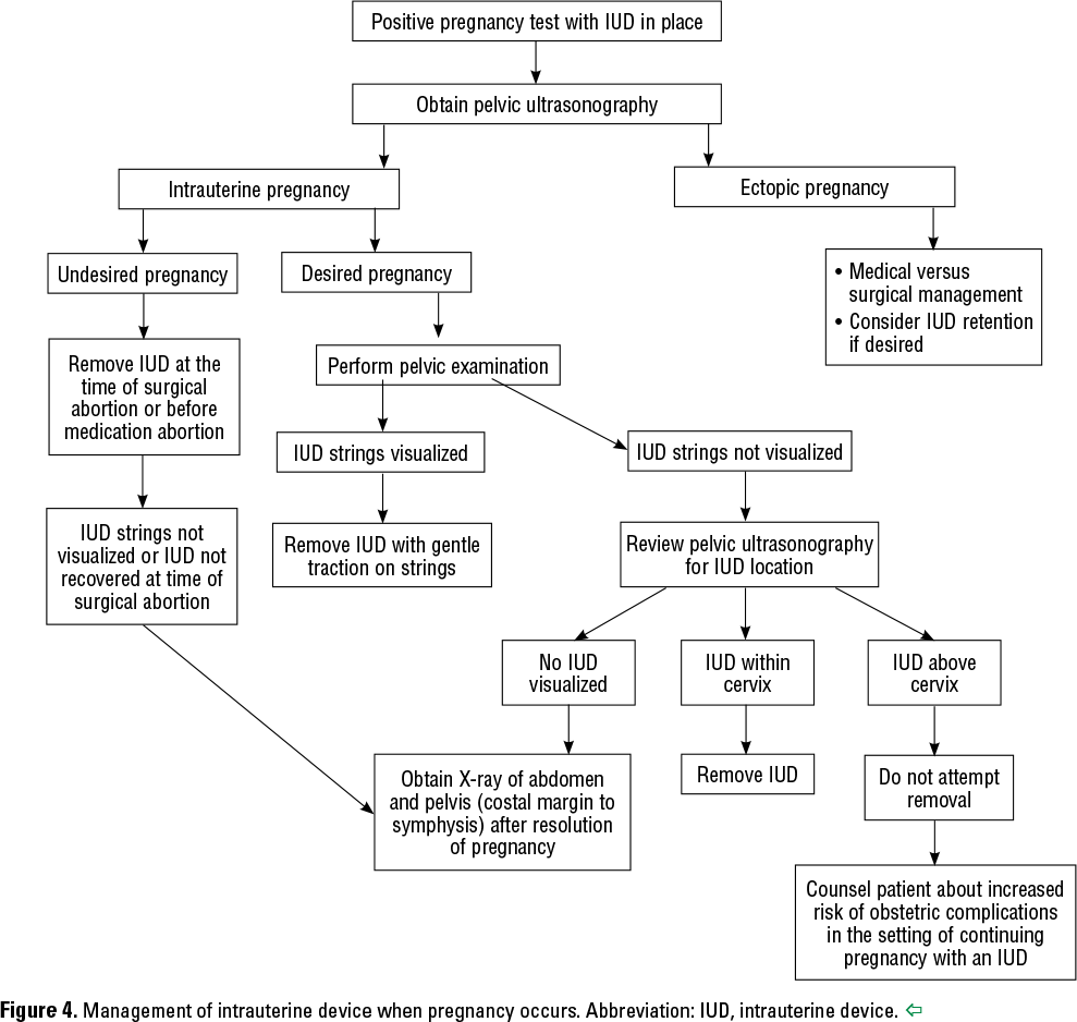 Figure 4. Management of intrauterine device when pregnancy occurs. Abbreviation: IUD, intrauterine device. 